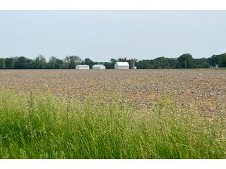 Property photo 42 - FARM & LAND AUCTION - 125+/- ACRES OFFERED IN 5 TRACTS IN EAST ALLEN COUNTY, INDIANA
